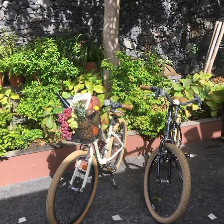 Quinta Pacos Do Отель Campanario