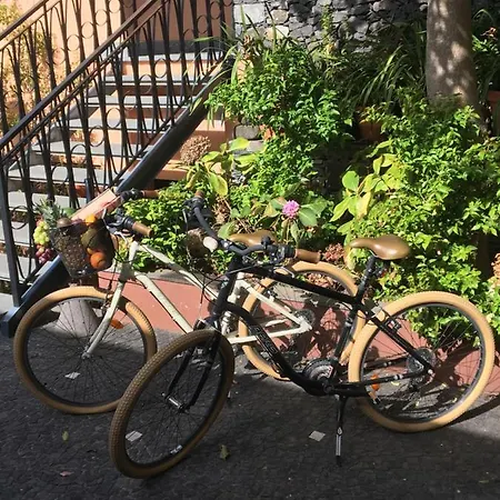 Quinta Pacos Do Отель 4*