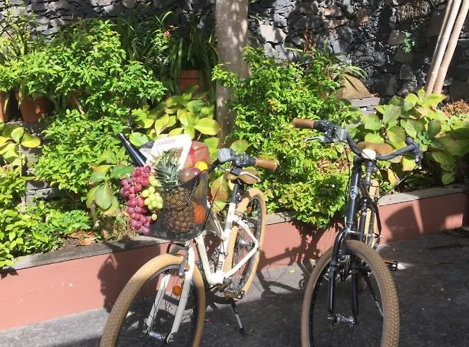 Quinta Pacos Do 酒店 Campanário