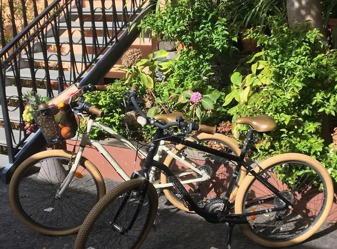 Quinta Pacos Do 酒店 4*